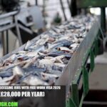 UK Fish Processing Jobs with Free Work Visa 2026