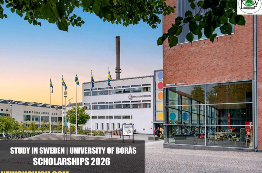 University of Borås Scholarships