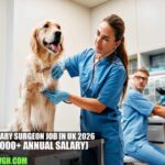 Veterinary Surgeon Job in UK 2026
