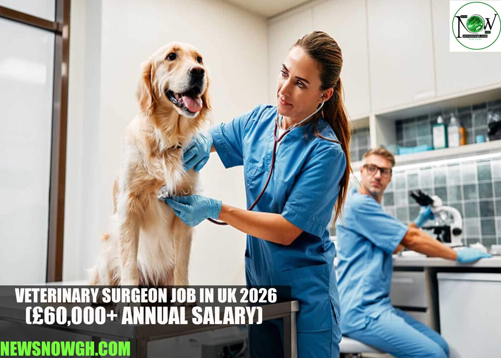 Veterinary Surgeon Job in UK 2026