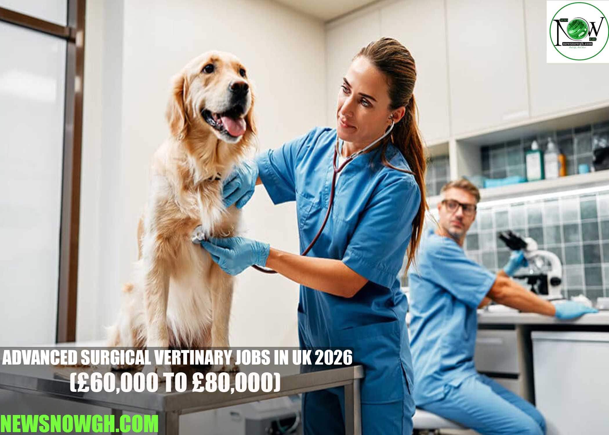 Advanced Surgical Veterinary Jobs in UK 2026