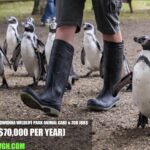 Australia Trowunna Wildlife Park Animal Care & Zoo Jobs