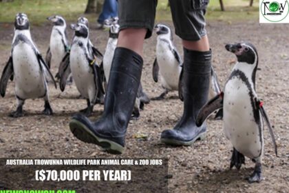 Australia Trowunna Wildlife Park Animal Care & Zoo Jobs