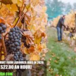 Canada Fruit Farm Labourer Jobs in 2026