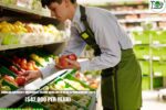 Canada Grocery Overnight Clerk Jobs with Visa Sponsorship 2026
