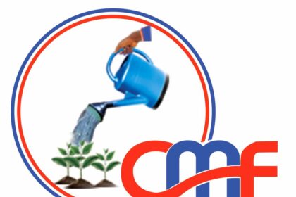 Central Microfinance