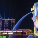 Data Risk Senior Manager Job in Singapore 2026