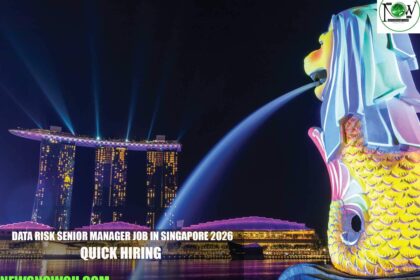 Data Risk Senior Manager Job in Singapore 2026