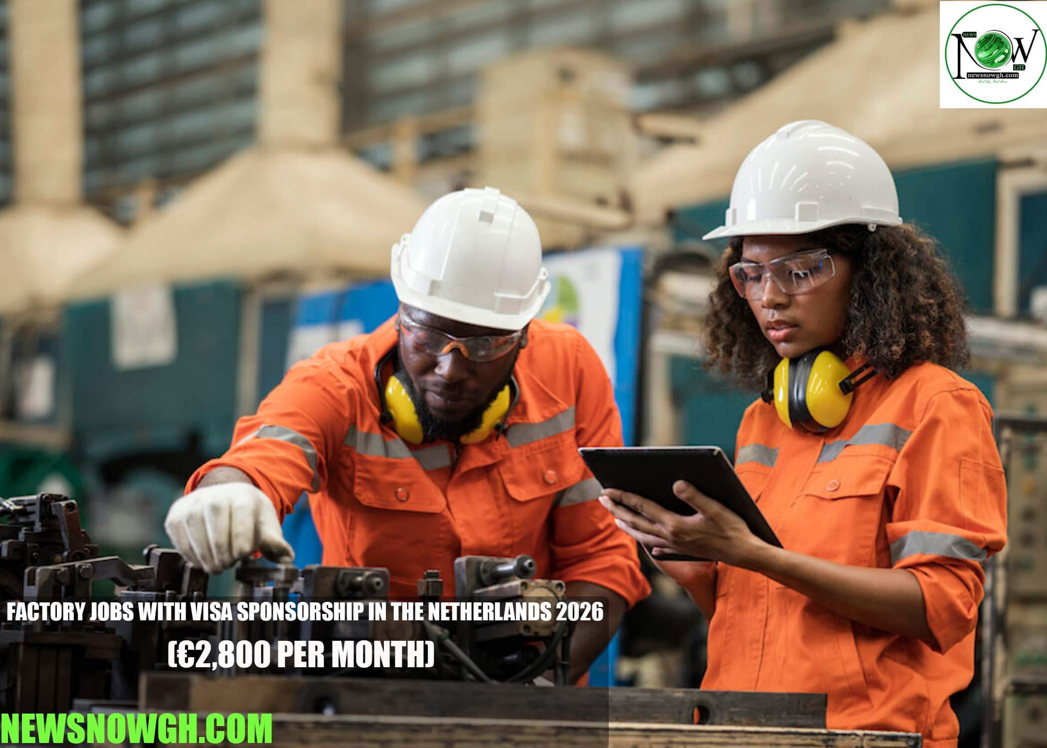 Factory Jobs with Visa Sponsorship in the Netherlands 2026