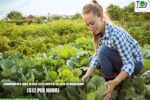 Farmworker Jobs in USA 2026 with H-2A Visa Sponsorship