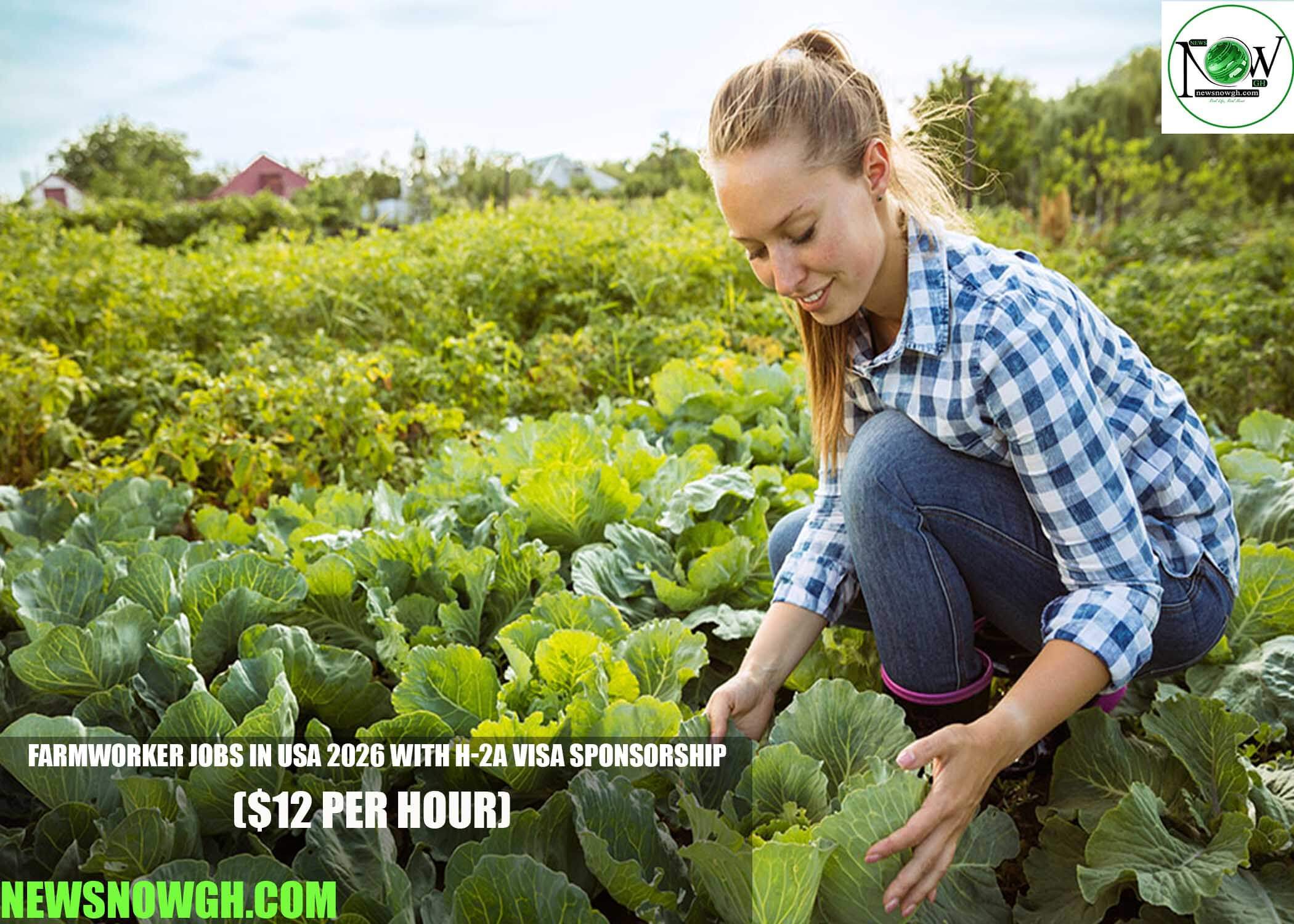 Farmworker Jobs in USA 2026 with H-2A Visa Sponsorship