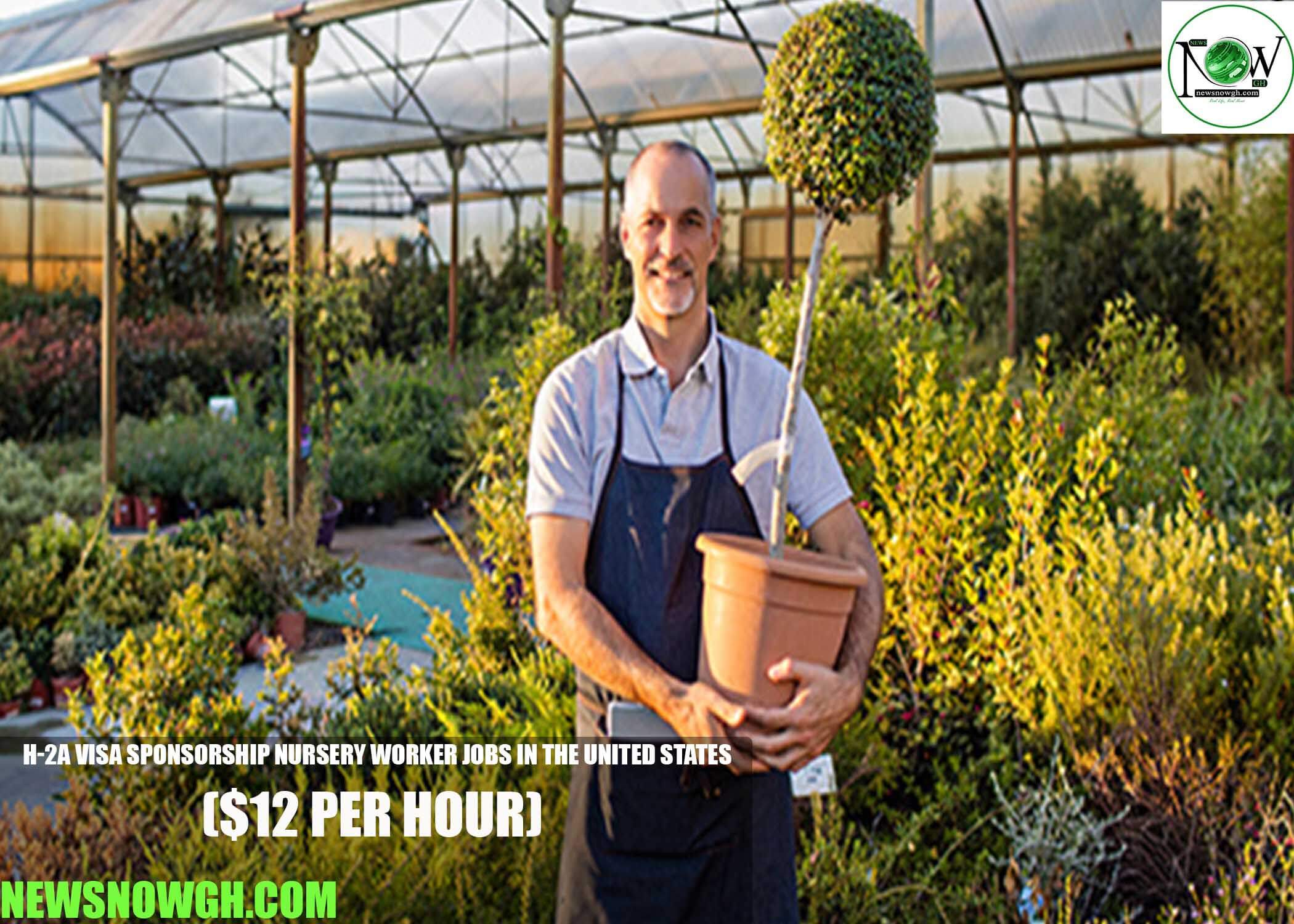 H-2A Visa Sponsorship Nursery Worker Jobs