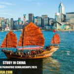 Hongkong Paediatric Scholarships