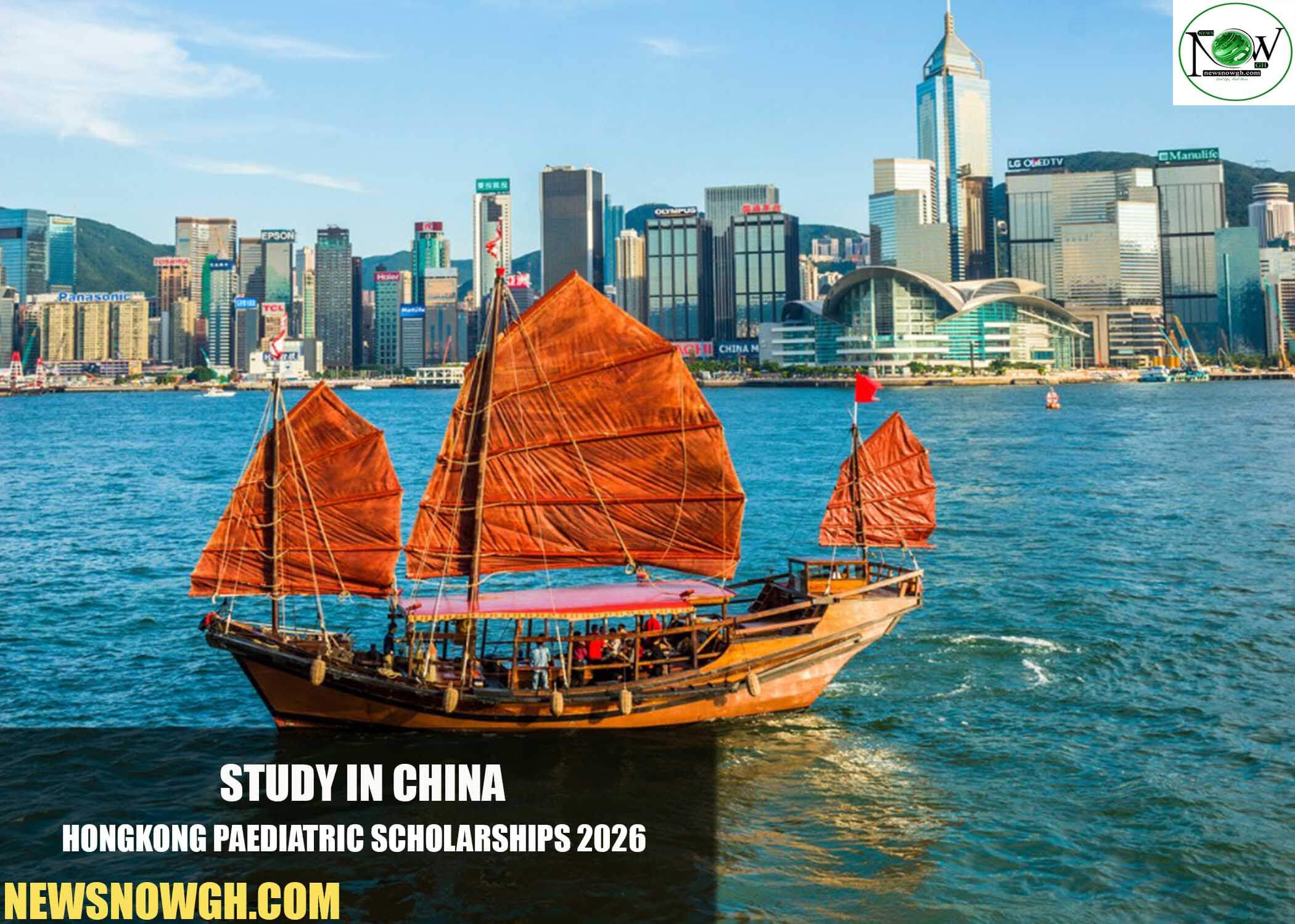 Hongkong Paediatric Scholarships