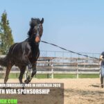 Horse Trainer (Dressage) Jobs in Australia 2026 with Visa Sponsorship