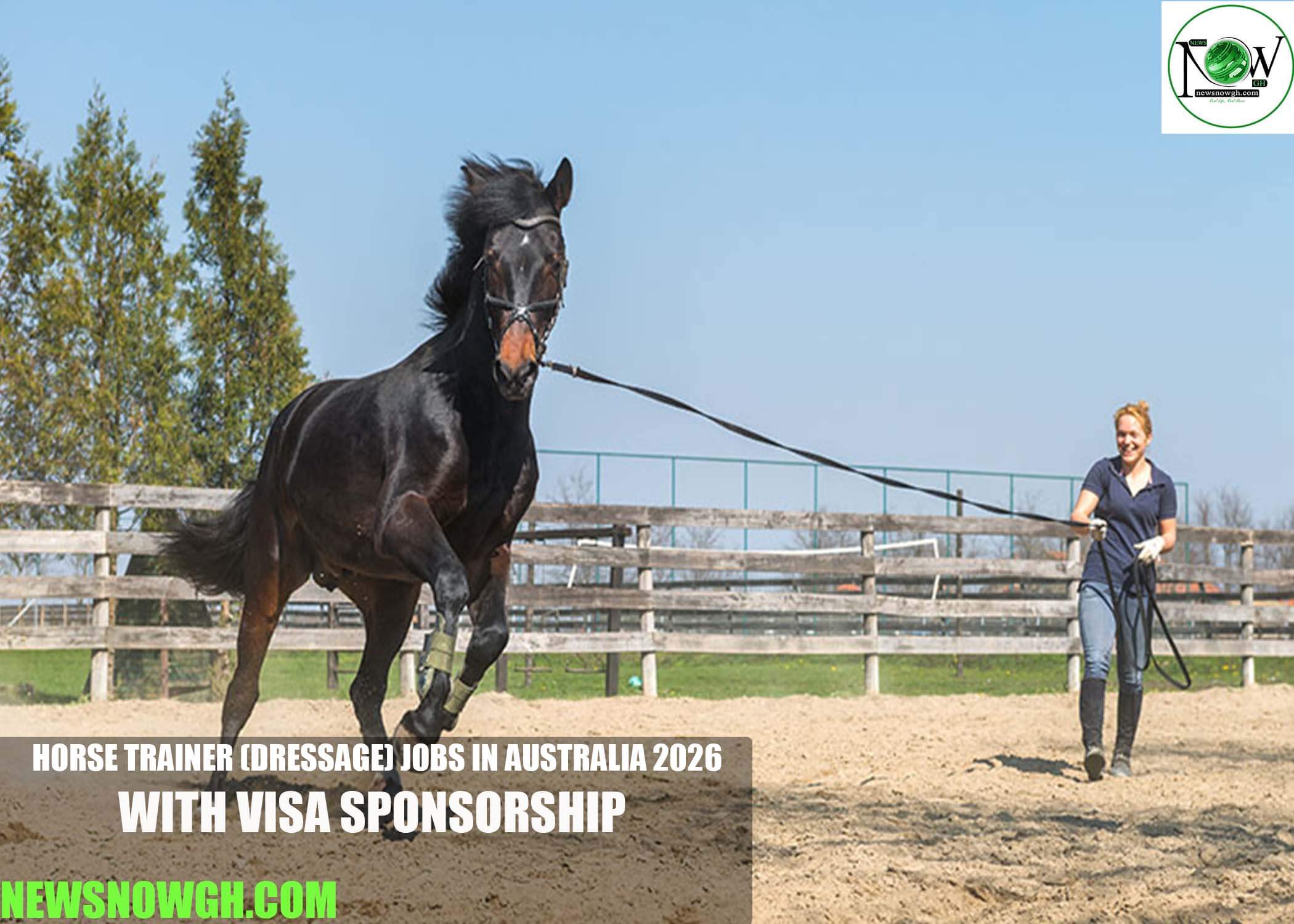 Horse Trainer (Dressage) Jobs in Australia 2026 with Visa Sponsorship