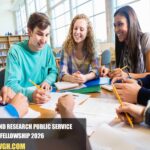 Ireland Research Public Service Fellowship