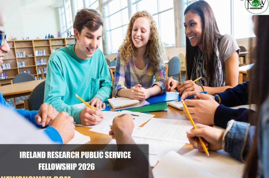 Ireland Research Public Service Fellowship