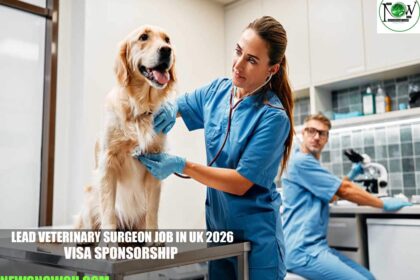Lead Veterinary Surgeon Job in UK 2026