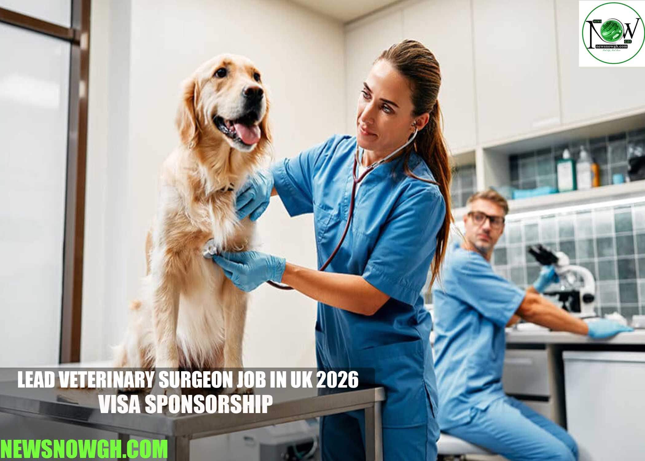 Lead Veterinary Surgeon Job in UK 2026