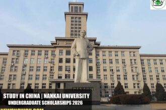 Nankai University Undergraduate Scholarships