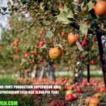 New Zealand Fruit Production Supervisor Jobs