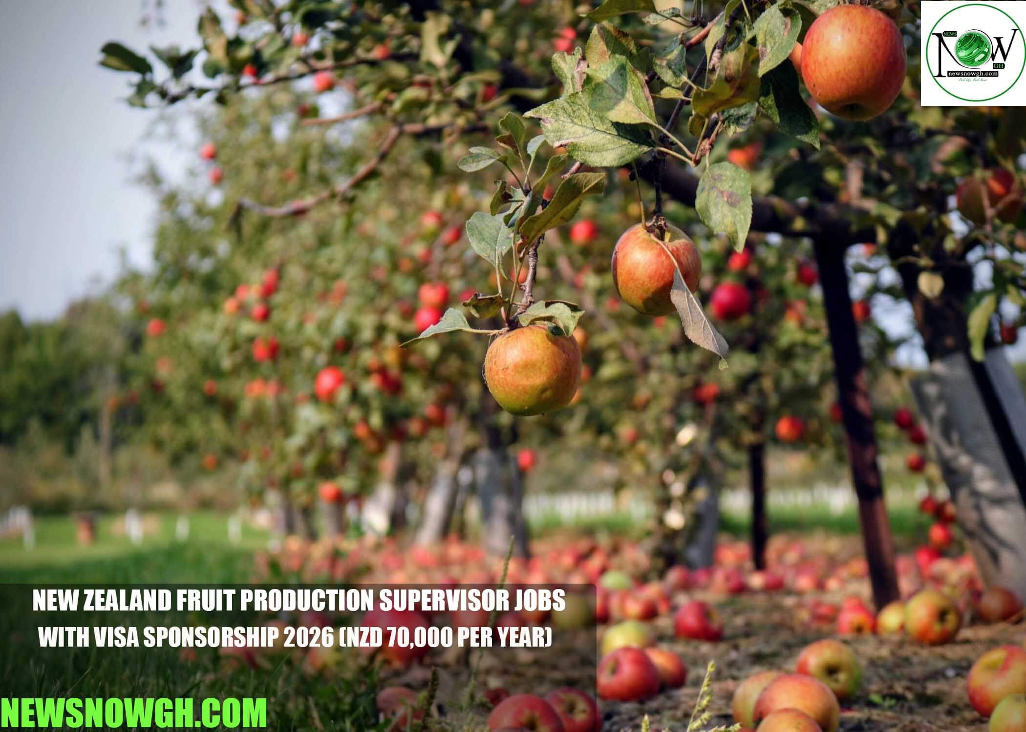 New Zealand Fruit Production Supervisor Jobs