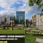 Ozyegin University Research Summer Scholarship