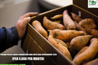 Poland Potato Crisps Production Jobs with Visa Sponsorship 2026