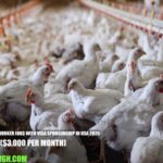 Poultry Farm Worker Jobs with Visa Sponsorship in USA 2026