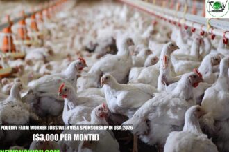 Poultry Farm Worker Jobs with Visa Sponsorship in USA 2026