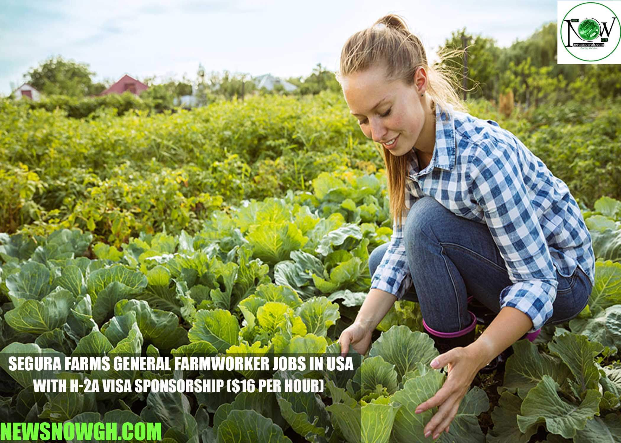 Segura Farms General Farmworker Jobs in USA