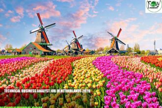 Technical Business Analyst Job in Netherlands 2026