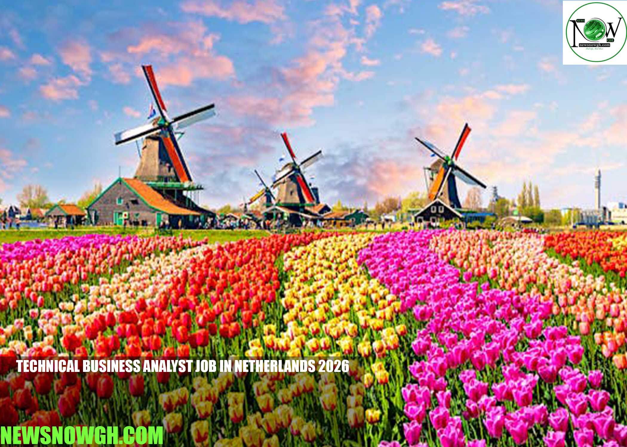 Technical Business Analyst Job in Netherlands 2026