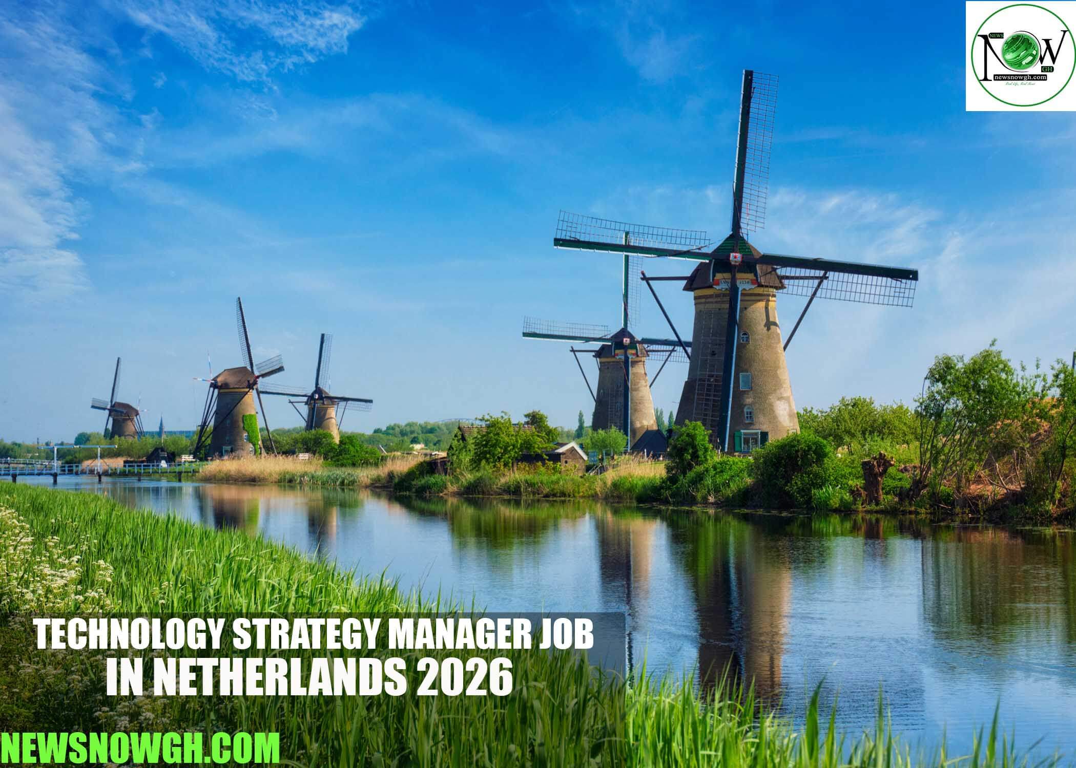 Technology Strategy Manager Job in Netherlands 2026