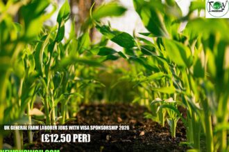 UK General Farm Laborer Jobs with Visa Sponsorship 2026