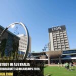 UNSW Undergraduate Scholarships