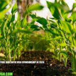 USA Agriculture Jobs with Visa Sponsorship in 2026
