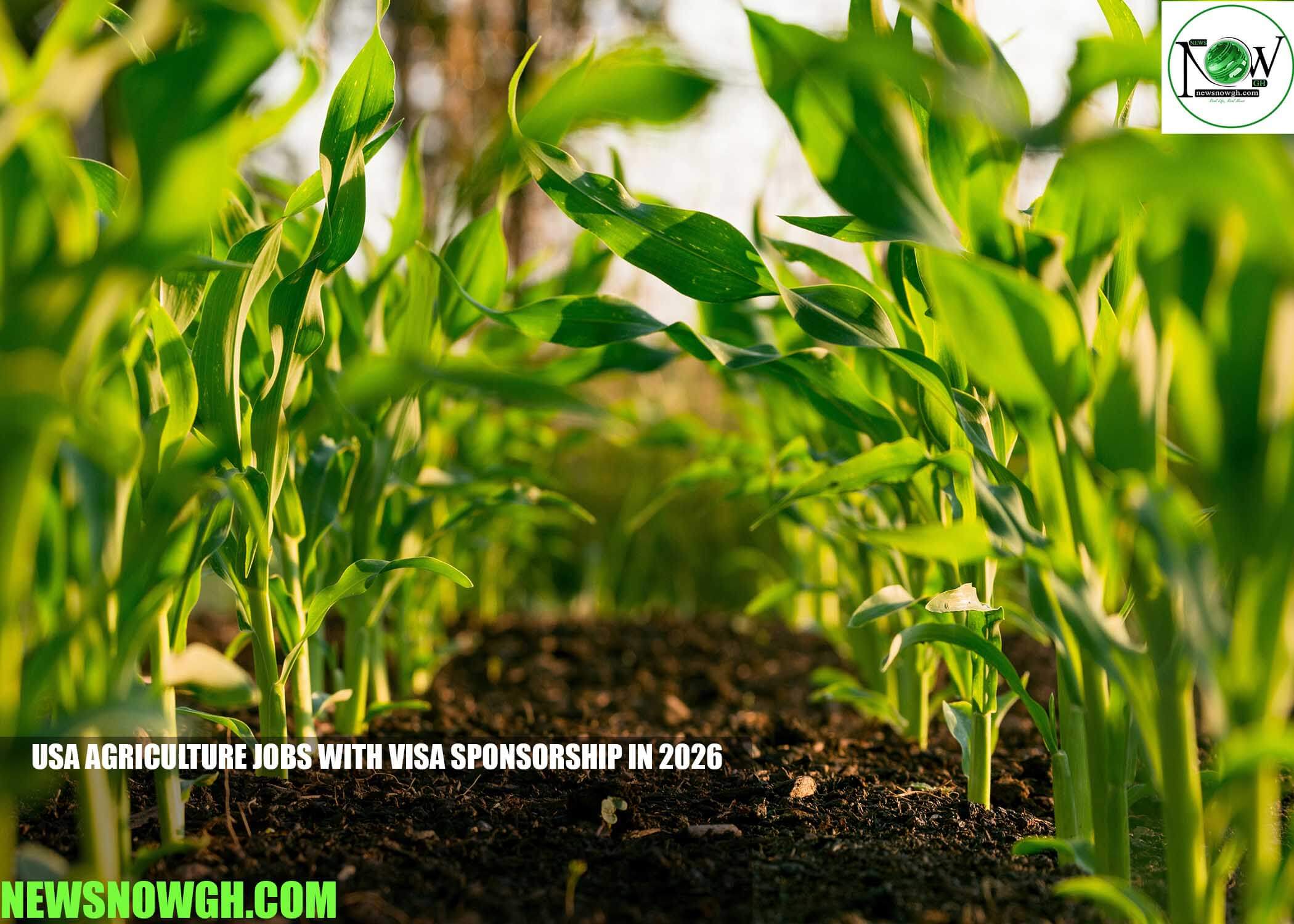 USA Agriculture Jobs with Visa Sponsorship in 2026