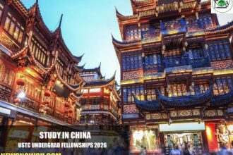 USTC Undergrad Fellowships