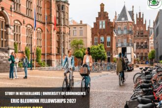 University of Groningen’s Eric Bleumink Fellowships