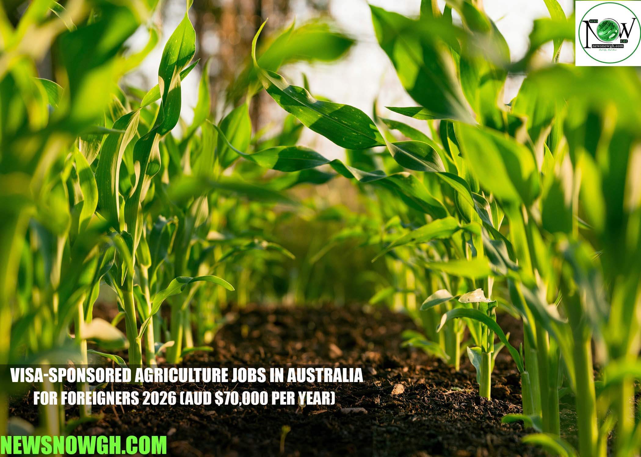 Visa-Sponsored Agriculture Jobs in Australia