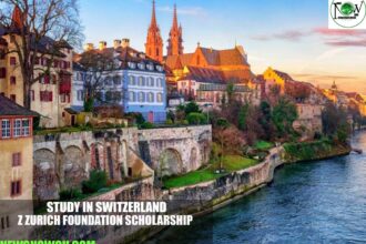 Z Zurich Foundation Scholarship