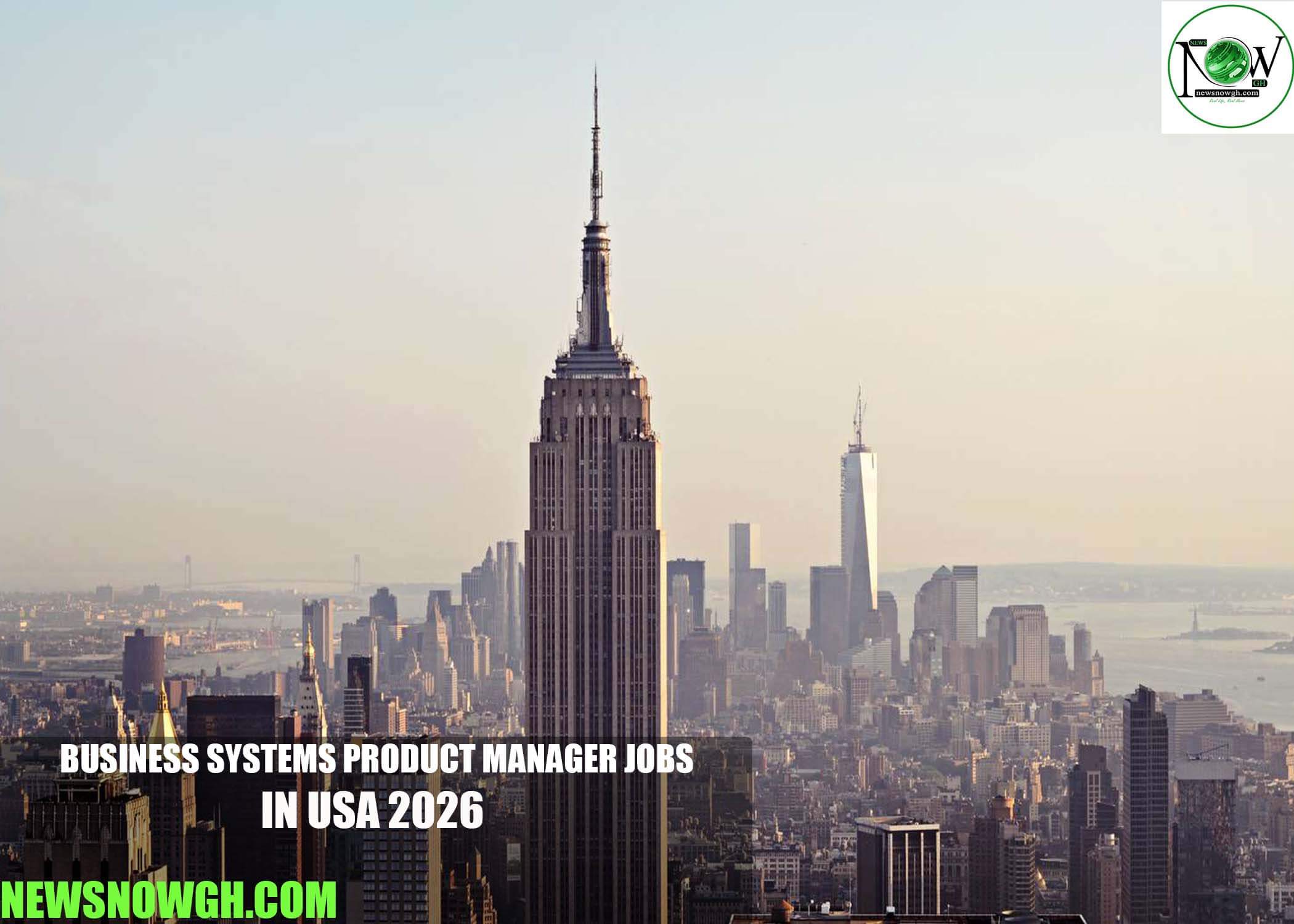 Business Systems Product Manager Jobs in USA 2026