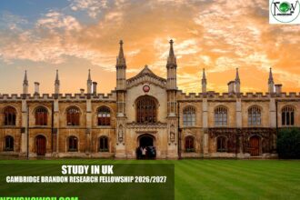 Cambridge Brandon Research Fellowship