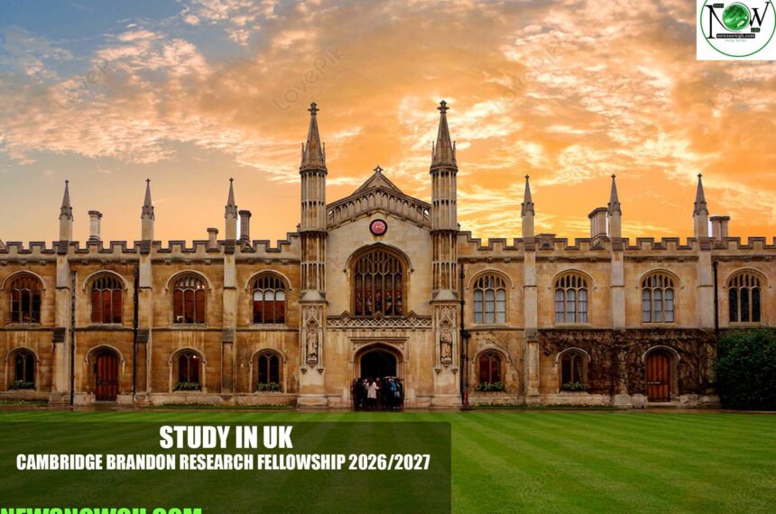 Cambridge Brandon Research Fellowship