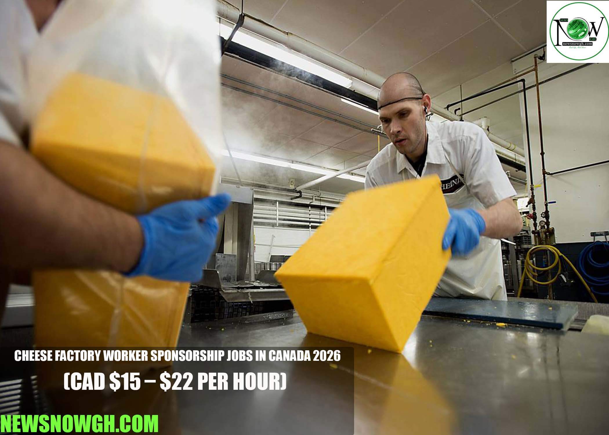 Cheese Factory Worker Sponsorship Jobs in Canada 2026