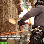 Climbing Arborist Jobs in Australia 2026 with Visa Sponsorship