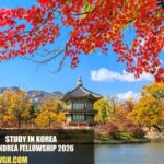 DUO-Korea Fellowship