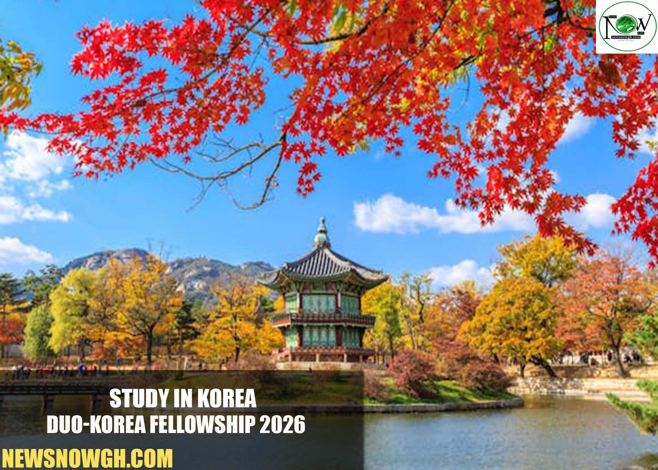 DUO-Korea Fellowship